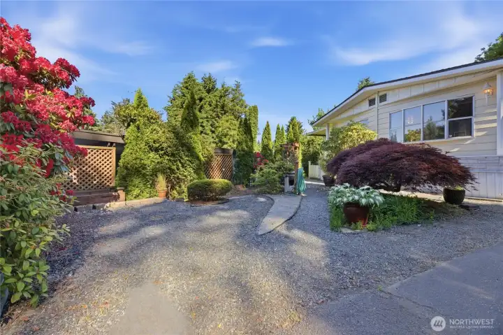 Beautiful mature landscape and raised garden bed.