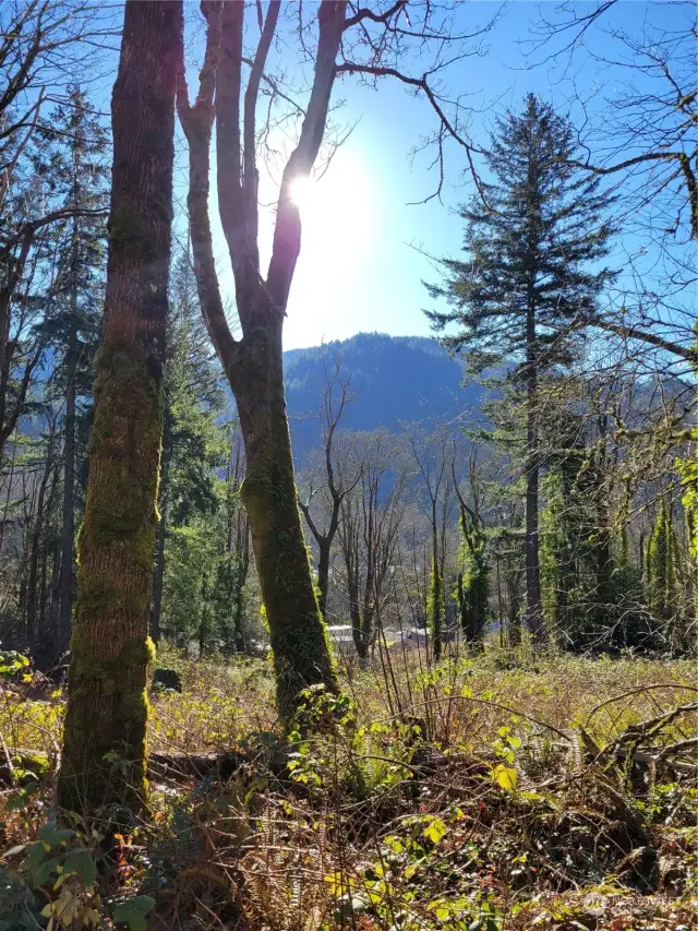 View to the south of Tiger Mtn.