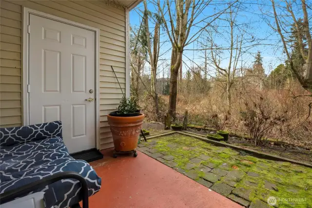Patio/Shed