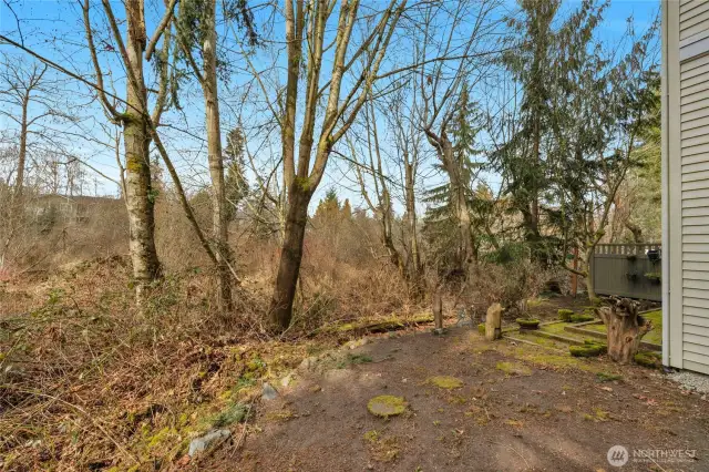 Green Belt