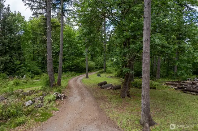 Leisurely driveway to home...