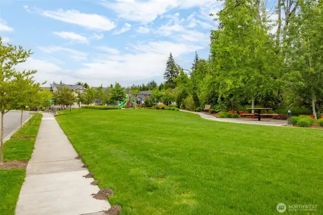 Community Park and Playground