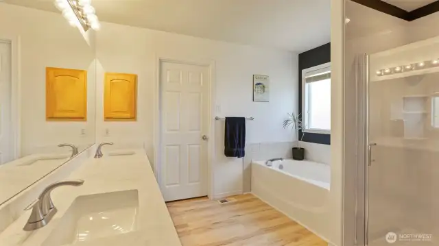 Step into a bright and airy en suite bathroom featuring a spacious walk-in closet, warm hardwood flooring, and abundant natural light