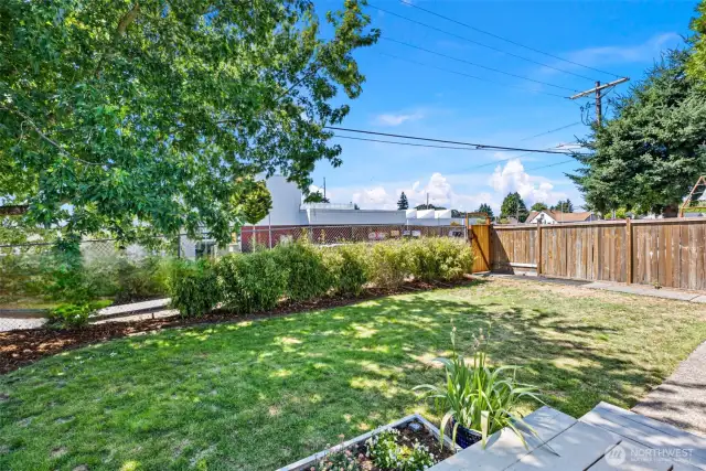 Front yard with a big shade tree with extra parking in the front!