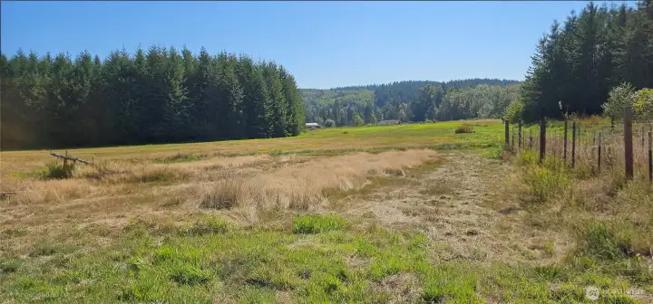 Wide open pastures abound