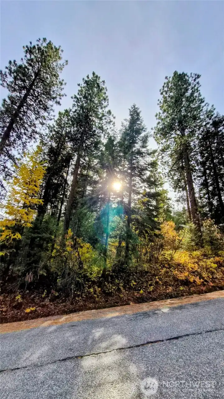 Lot View from the Street