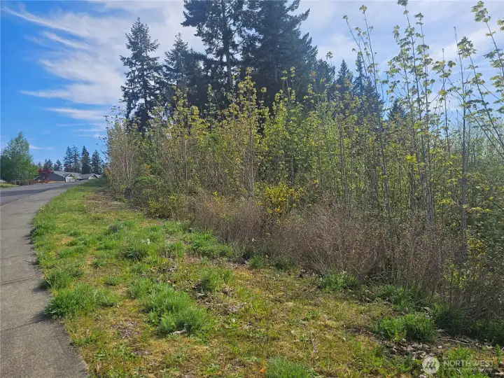 edge of lot