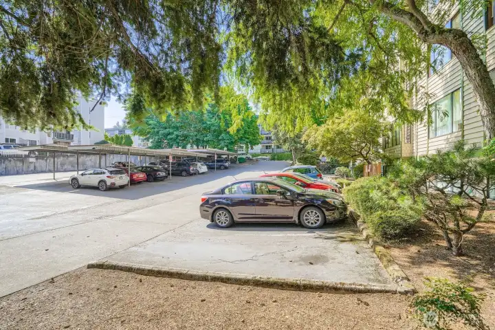 Dedicated parking spot