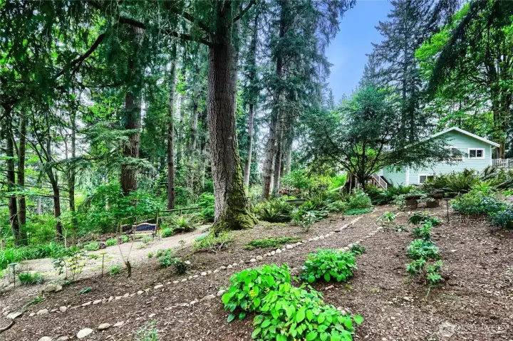 You will fall in love with the woodland garden...while you are here make sure to take a rest on the bench and take in the mountain views