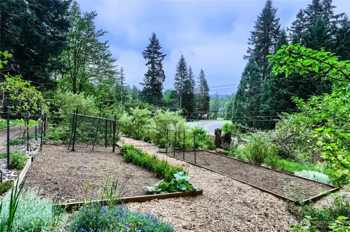 Just one section of the established food forest—offering raised beds, abundant plantings, and a taste of the incredible landscape throughout the property