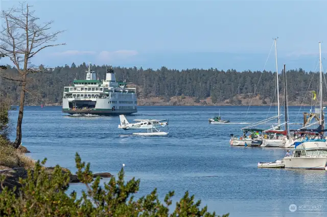 Easy island access via Kenmore Air or ferry.