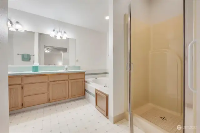 Walk-in shower, jetted tub, two sinks in Owner’s Suite