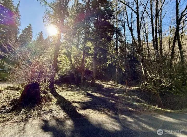 A welcoming entrance sets the tone for this peaceful Lake Cavanaugh retreat ??? Tucked along a quiet paved road, the property entrance is framed by towering evergreens, natural woodland beauty, and filtered sunlight streaming through the trees. The setting feels private, serene, and unmistakably Pacific Northwest, offering a tranquil arrival experience while still providing year-round access. Existing improvements, including the installed well and approved septic design, help create a strong foundation for your future cabin, getaway, or custom home in this beautiful mountain-lake community.