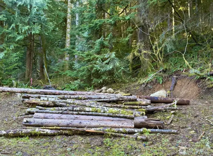 Cleared and prepared while still preserving its natural Pacific Northwest beauty, this Lake Cavanaugh property offers a rare balance of usability and forest serenity ??? Mature evergreens, moss-covered timber, and native foliage create a peaceful wooded backdrop, while portions of the lot have already been opened up to help envision future building possibilities. The setting feels private, quiet, and immersed in nature — perfect for a cabin retreat, vacation getaway, or custom home near the lake. Enjoy the beauty of the surrounding forest with year-round access and nearby public beach and boat launch amenities.