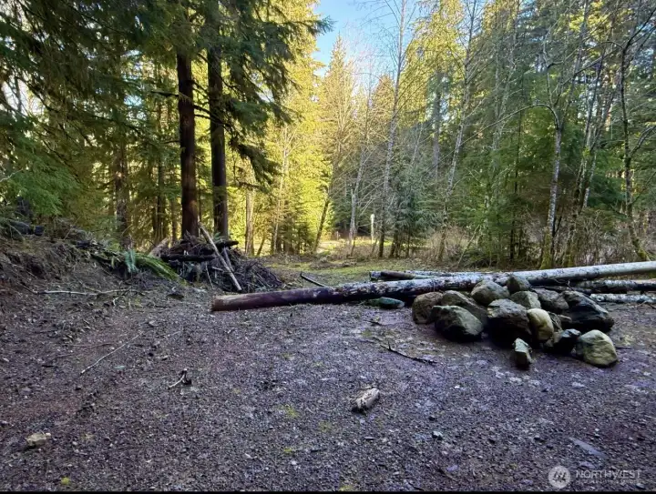 The property features a gentle slope with selectively cleared areas that create usable space while still preserving the natural beauty of the surrounding forest ??? Mature evergreens, native landscape, and filtered sunlight give the property a peaceful Pacific Northwest feel, while the terrain offers character and potential for a future cabin, retreat, or custom home near Lake Cavanaugh. Existing improvements include a private well, approved septic design with active permit, and power at the street — helping save time and expense as you plan your build.