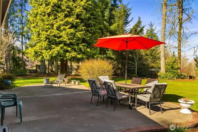Beautiful backyard with privacy and nature as neighbors