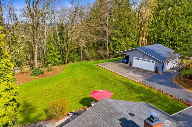 Your backyard