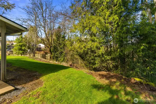 Back, Northside of lot