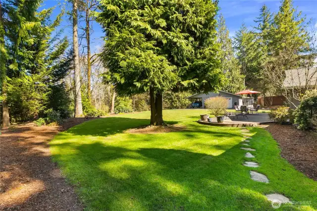 Side yard