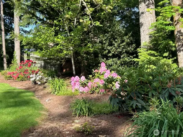 Blooming in the Spring, Summer