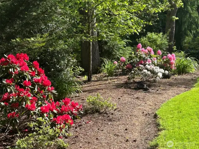 The flowers bloom around start of Summer