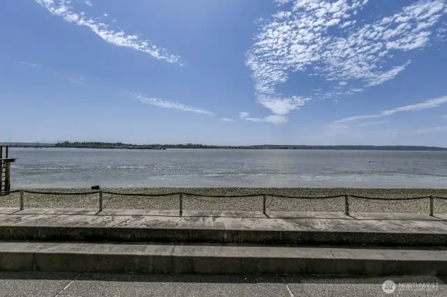 All day sun watching the birds and kite boarders on Jetty Island.