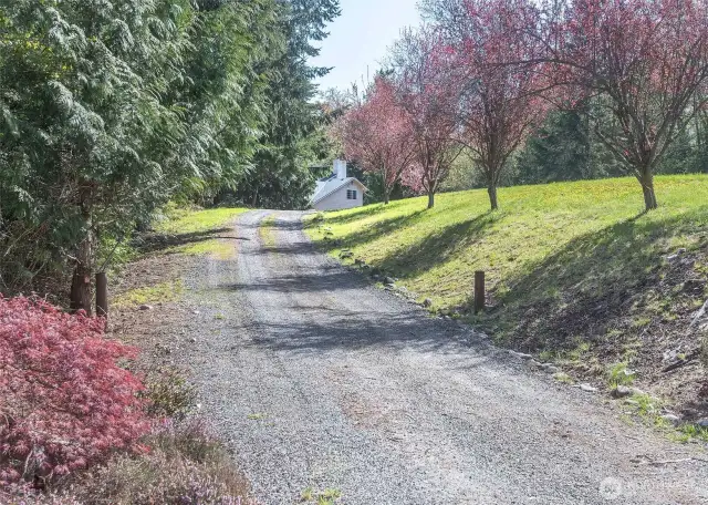 Tree lined driveway greets you home.