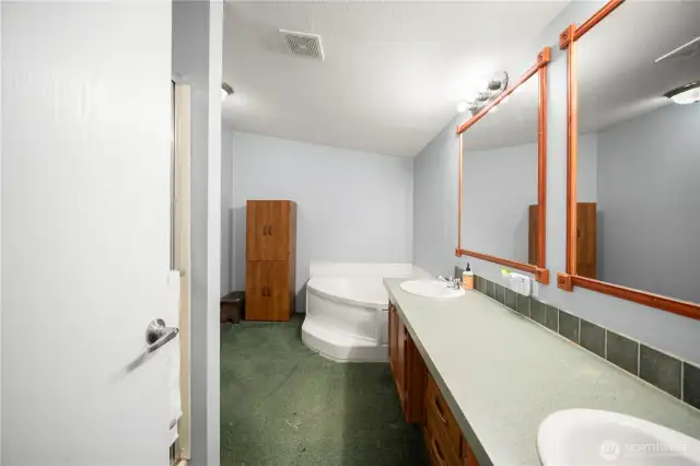 Elegant, roomy bathroom complete with a huge soaking tub.