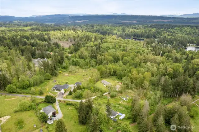 There is a beautiful view of Mt Rainier from the top of the property.