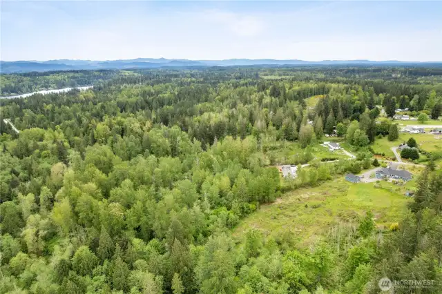 Much of the woods to the left side of the photo are part of the property.