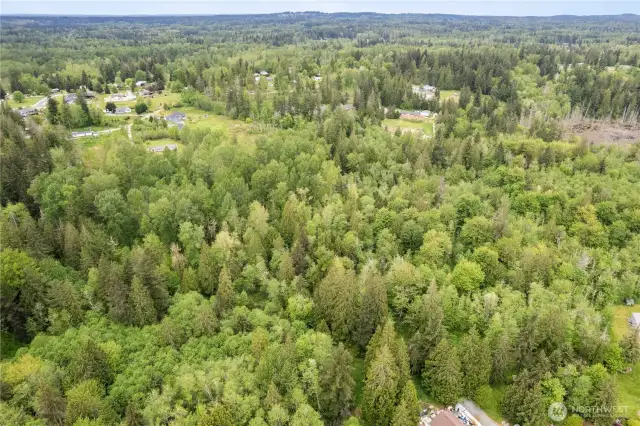 You can just see the open yard past the woods and to the upper left of the photo.