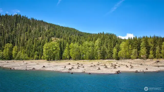 Kachess Lake in the Okanogan-Wenatchee National Forest - Home to Diverse Wildlife and Rich Natural Beauty