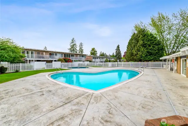 The community pool.