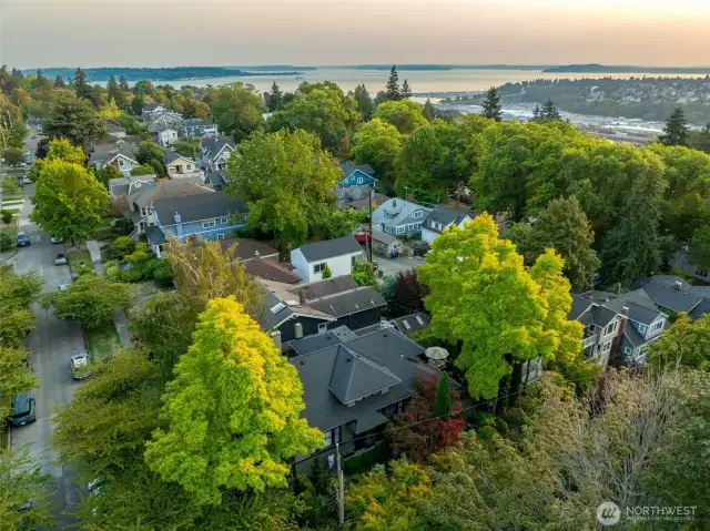 This iconic Craftsman, freshly staged and full of personality, sits proudly on a sunny corner lot in one of Seattle’s most desirable neighborhoods.
