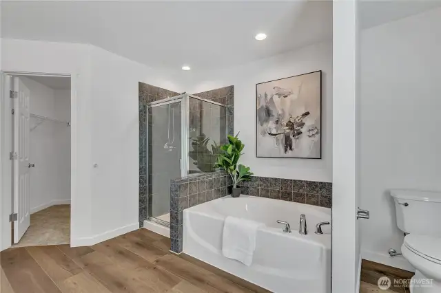 Primary Bath/Shower/Walk-in Closet