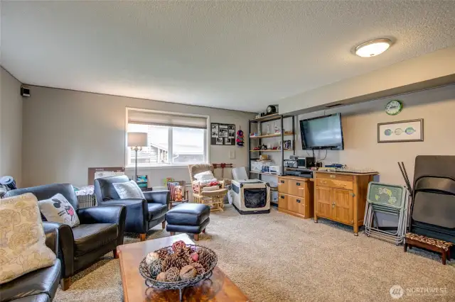 Lower level family room