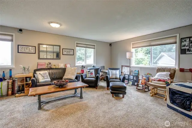 Lower level family room, cont