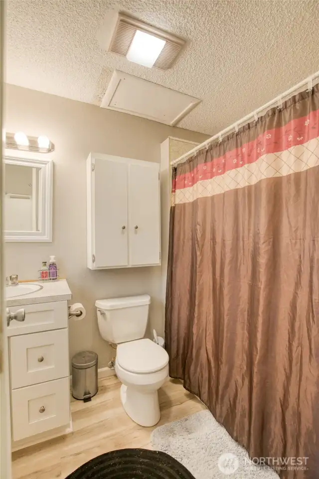 Lower level full bath