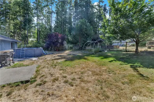 Large fenced backyard