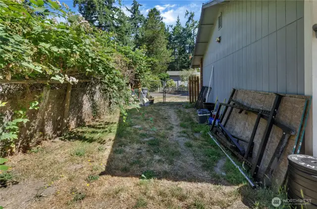 Side yard