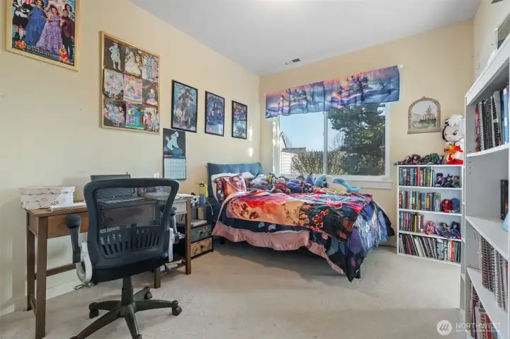 Lower level, bedroom #2.