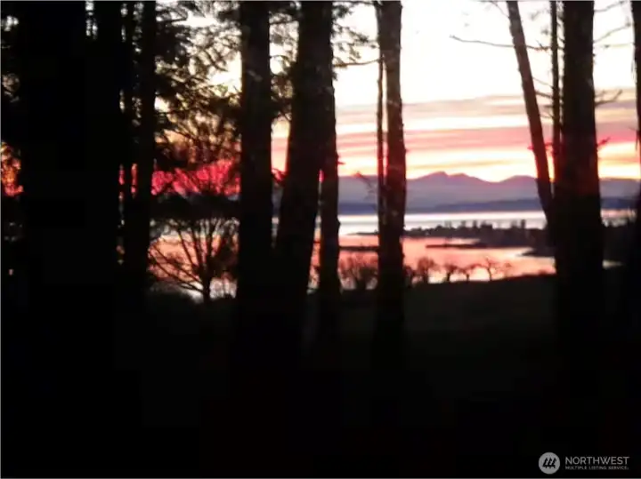 Sunset View through the trees facing SW