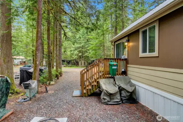 Side yard with mature trees