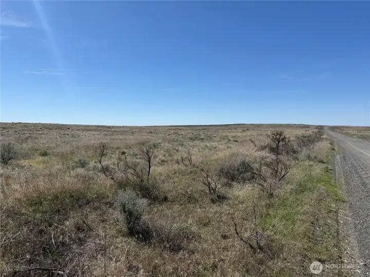 Consistent terrain across the property with great visibility.