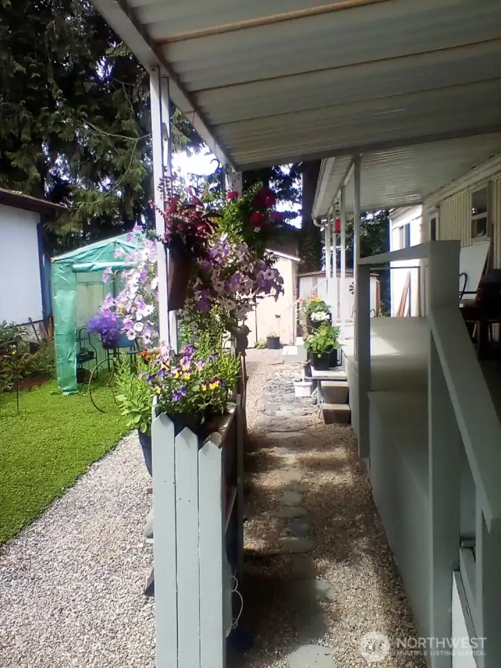 Pictures from last summer