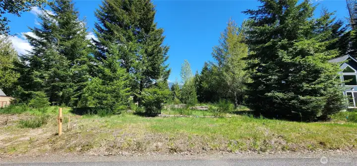 Welcome to 113 Cottonwood Lane! .5 acre, WATER, POWER & SEPTIC all installed and ready for you.