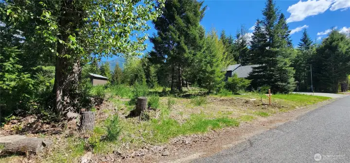 Beautiful old growth trees to give you shade in the summer, and a lovely landscape for privacy.