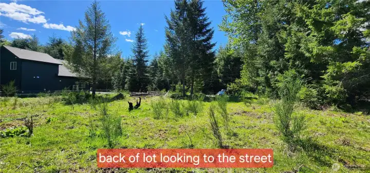 This HALF ACRE property feels big!