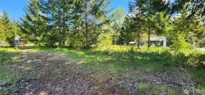 Nice tree lined potential driveway.