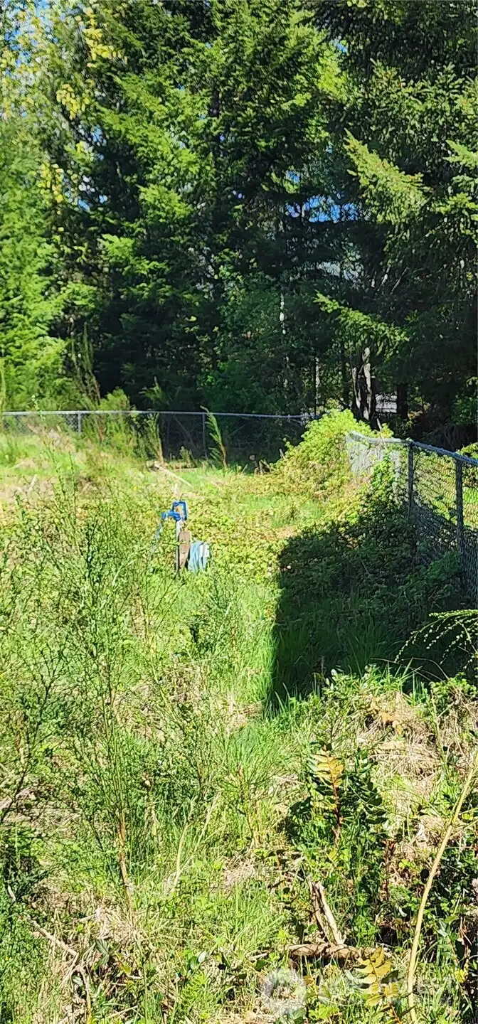 Water to the property